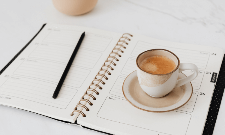 Planner metas - Planner de metas para imprimir 1 (1)
