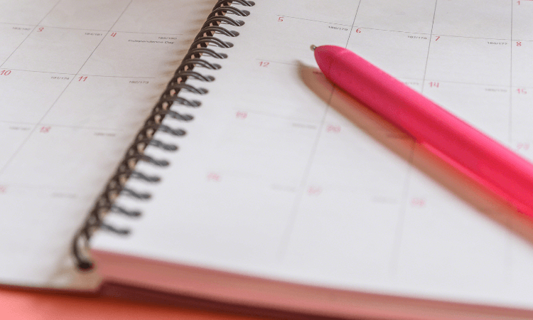 Planner metas e objetivos